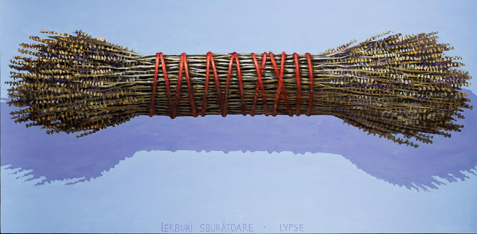 1.%20BUSUIOCUL%20160%20X%2080%20cm