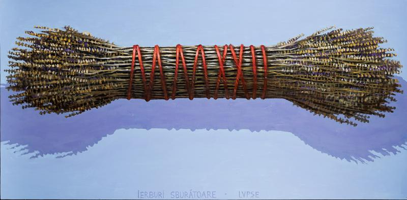 m_1.%20BUSUIOCUL%20160%20X%2080%20cm