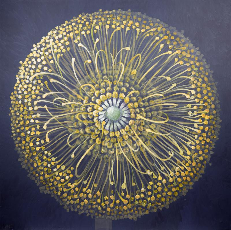 m_4.%20INFLORESCEN%C8%9A%C4%82