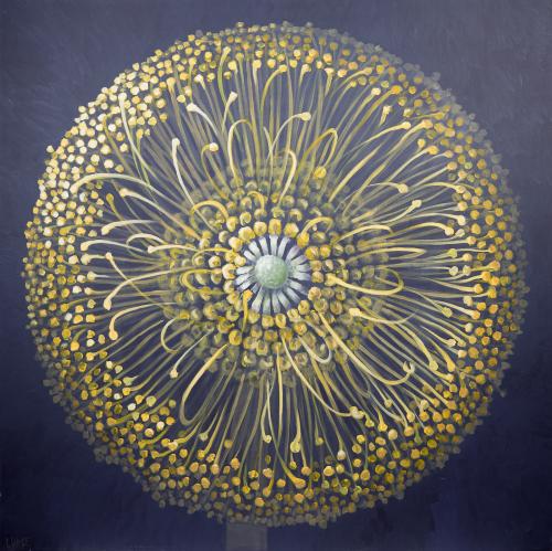 tn_4.%20INFLORESCEN%C8%9A%C4%82