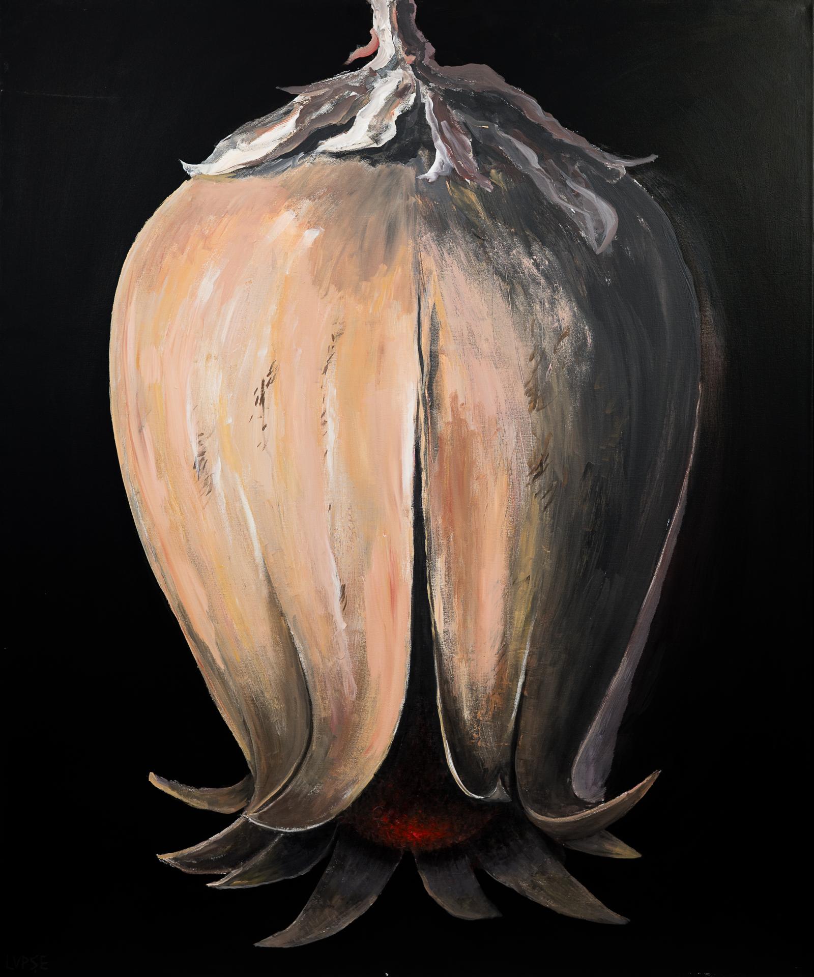 7.%20ORIGINEA%20LUMII