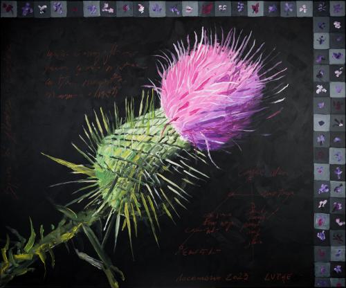 tn_10.%20SPIN%20SI%20FLOARE