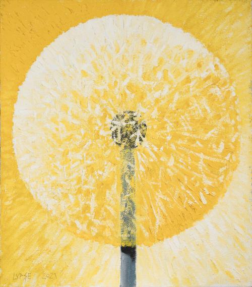 tn_15.%20P%C4%82P%C4%82DIE%20-%20DANSUL%20%C3%8ENGERILOR%20IV