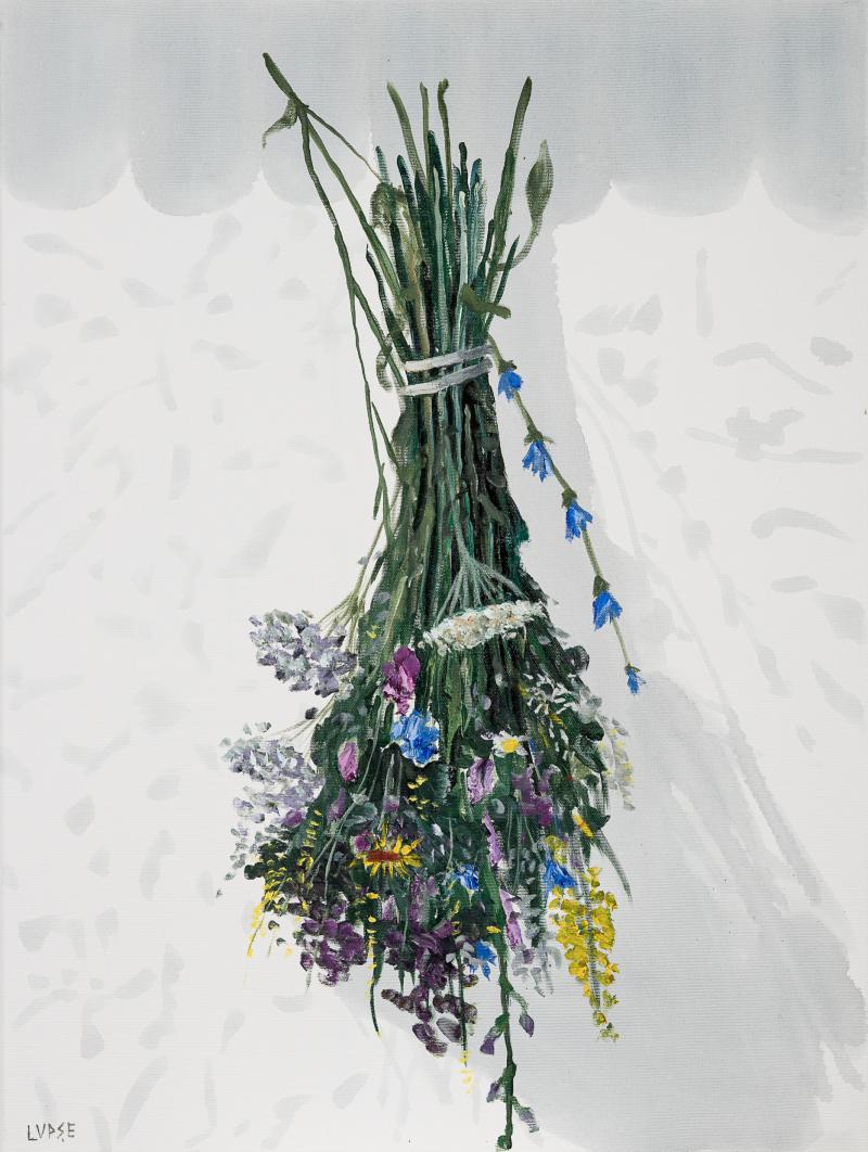 m_17.%20FLORILE%20NOP%C8%9AII