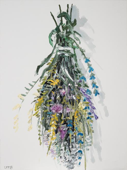 tn_18.%20FLORI%20DE%20DESC%C3%82NT