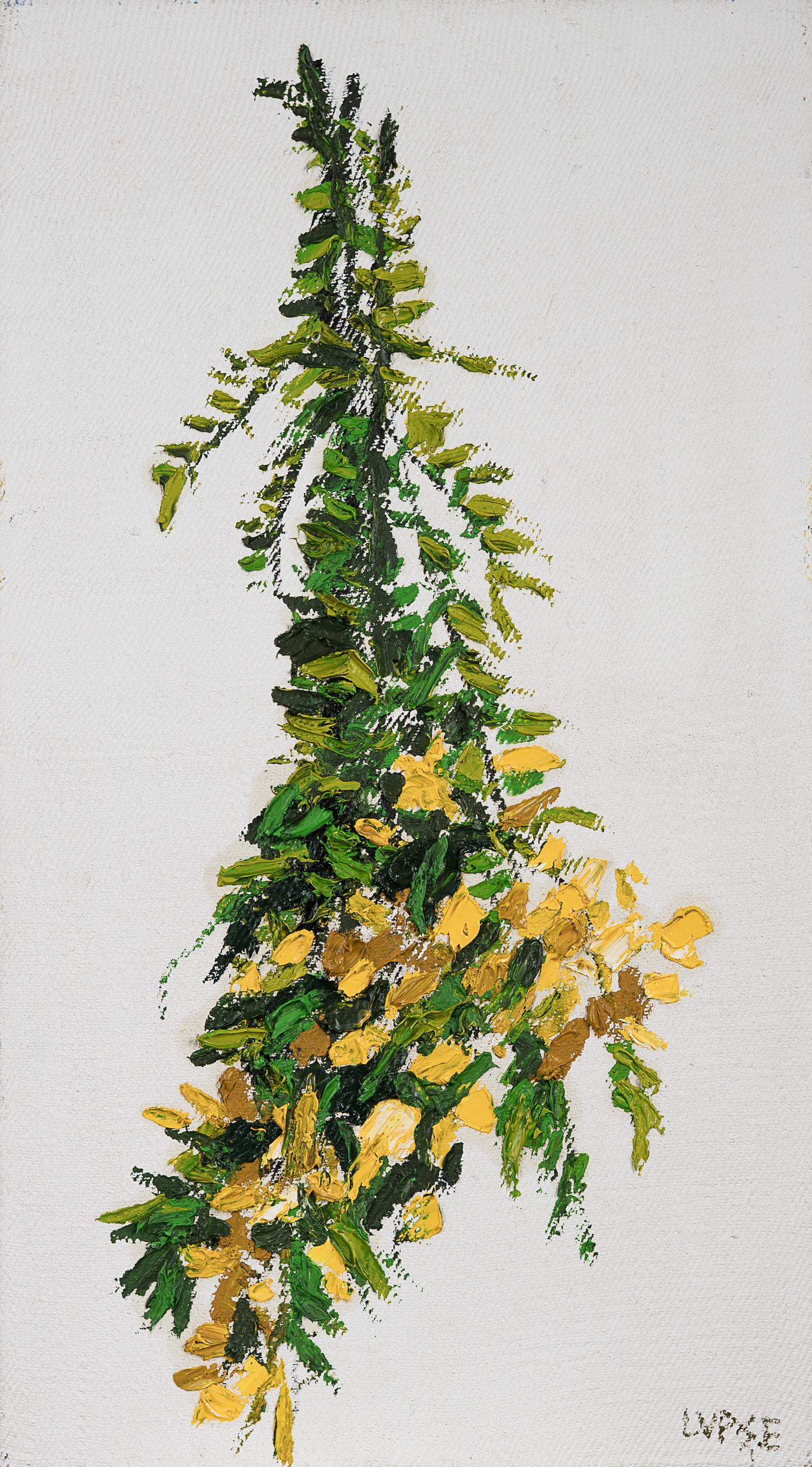 20.%20SUN%C4%82TOARE