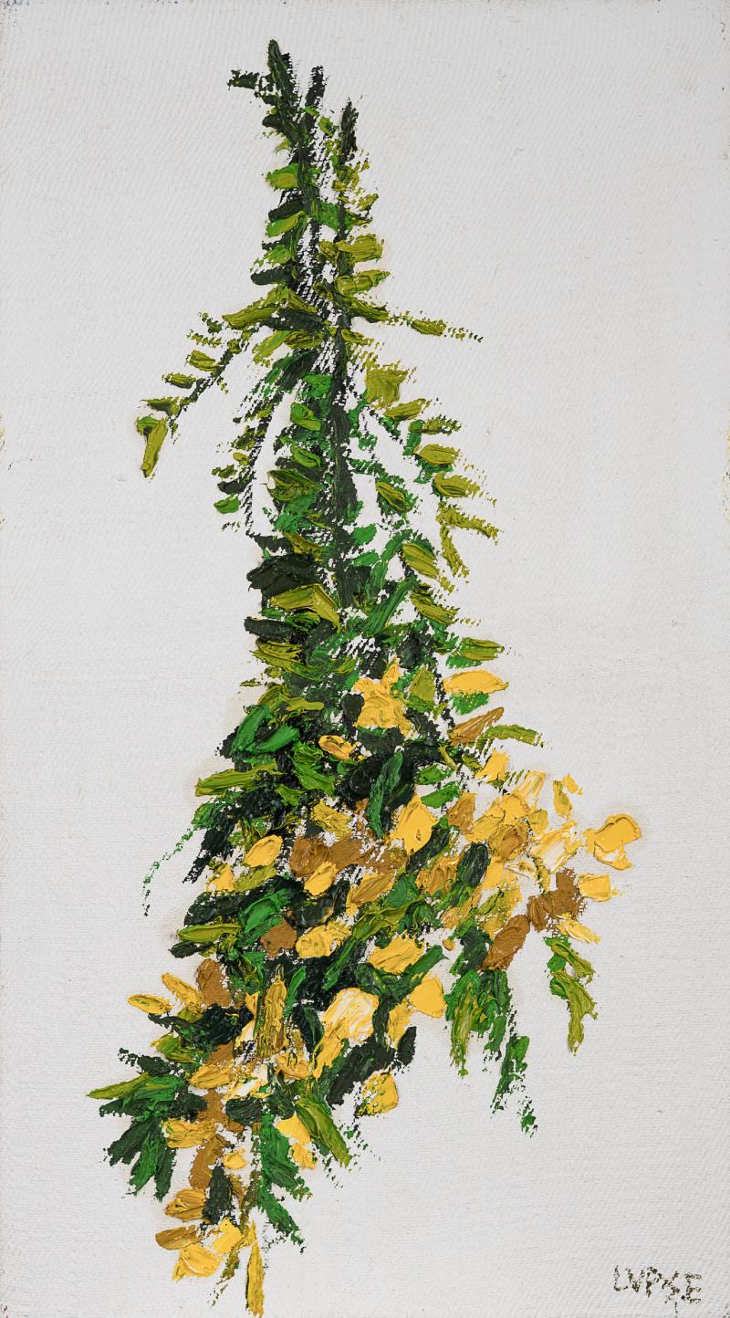 m_20.%20SUN%C4%82TOARE