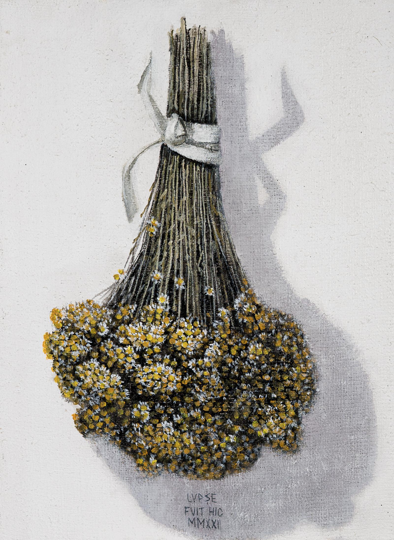 25.%20ROMANI%C8%9A%C4%82