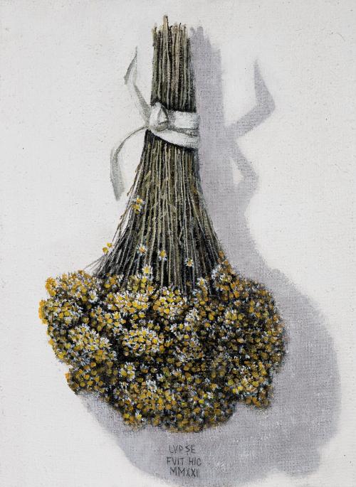 tn_25.%20ROMANI%C8%9A%C4%82