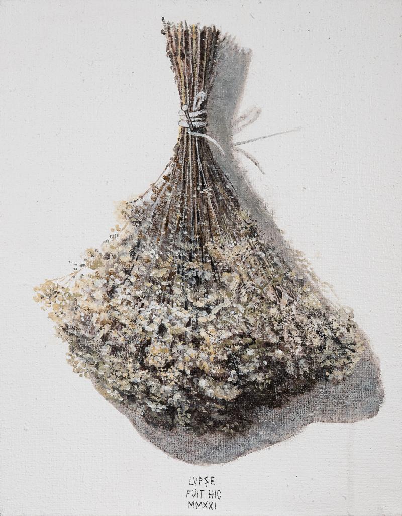 m_26.%20FLORILE%20SOMNULUI