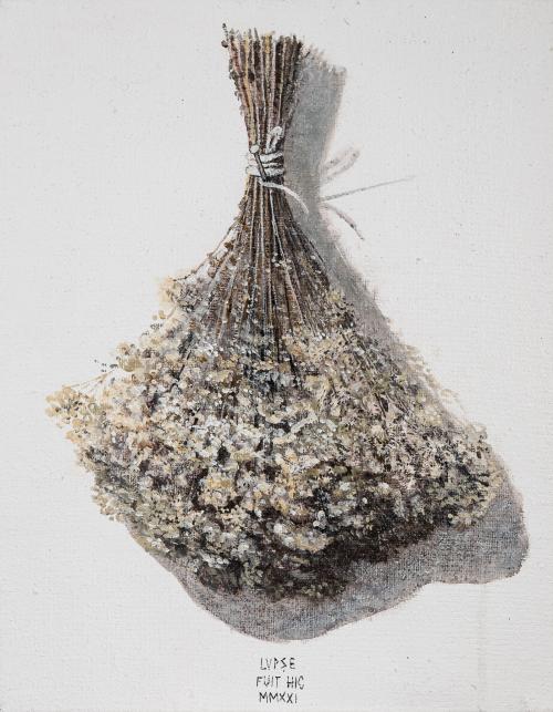 tn_26.%20FLORILE%20SOMNULUI