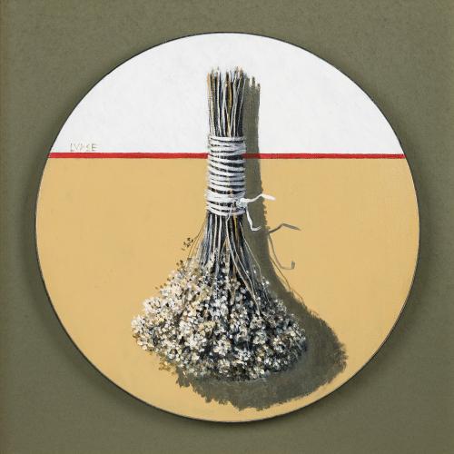 tn_29.%20IERBURI%20DE%20LEAC%20D=40%20cm