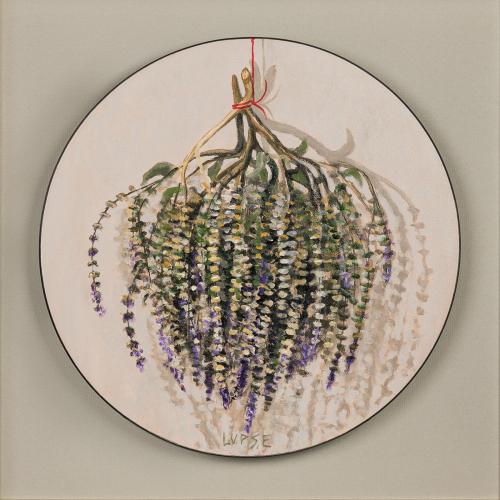 tn_30.%20BUSUIOCUL%20D=40%20cm