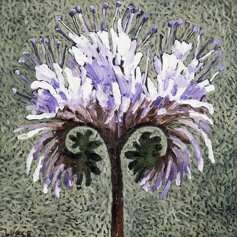 m_32.%20PHACELIA%20MELIFERA%20I