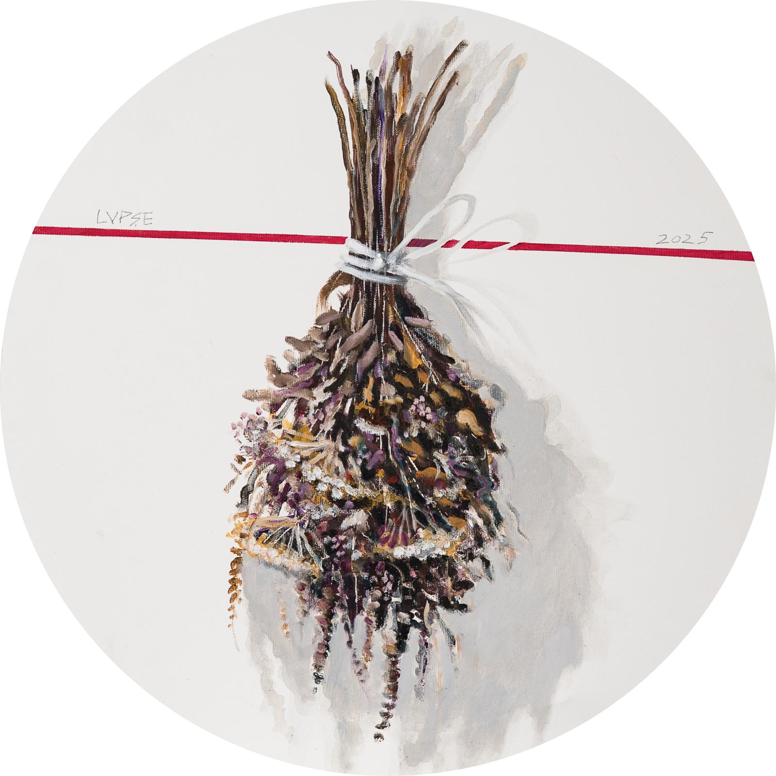 41.%20IERBURI%20D=50cm