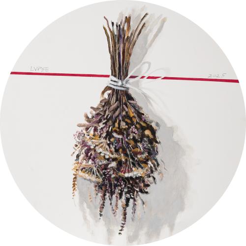 tn_41.%20IERBURI%20D=50cm