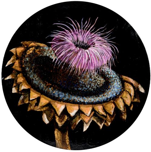 tn_43.%20SCAI%20D=60cm