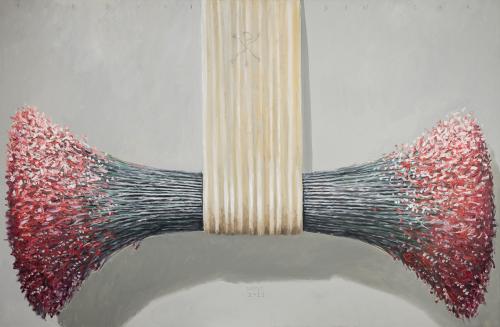 tn_9.IERBURI%20DIN%20CER%20I