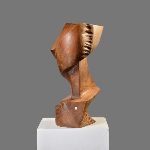 tn_13.PORTRET%20IARNA%202%20-%20Remus%20IRIMESCU%20-%20