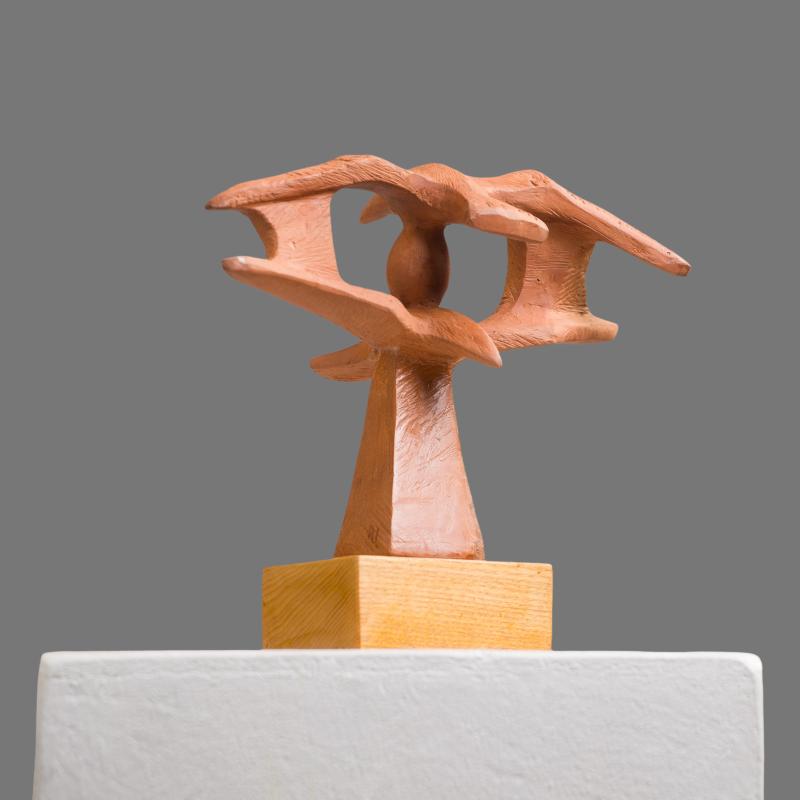 m_OCHIUL%20-%20R%20IRIMESCU