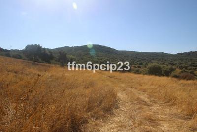 m_resales_12